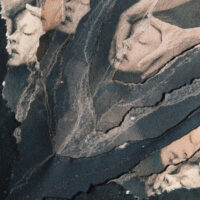 Bank Myna <br> Eimuria LP