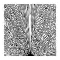 Wojtek <br> Petricore CD