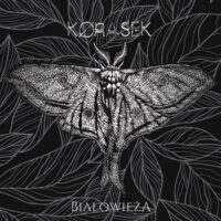 Korasek <br> Białowieża LP