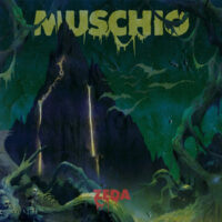 Muschio <br> Zeda LP